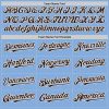 Custom Light Blue Brown-White Authentic Sleeveless Baseball Jersey - Image 3